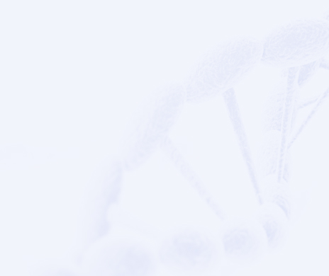 w66国际app(中国)官方下载_来利国际老牌